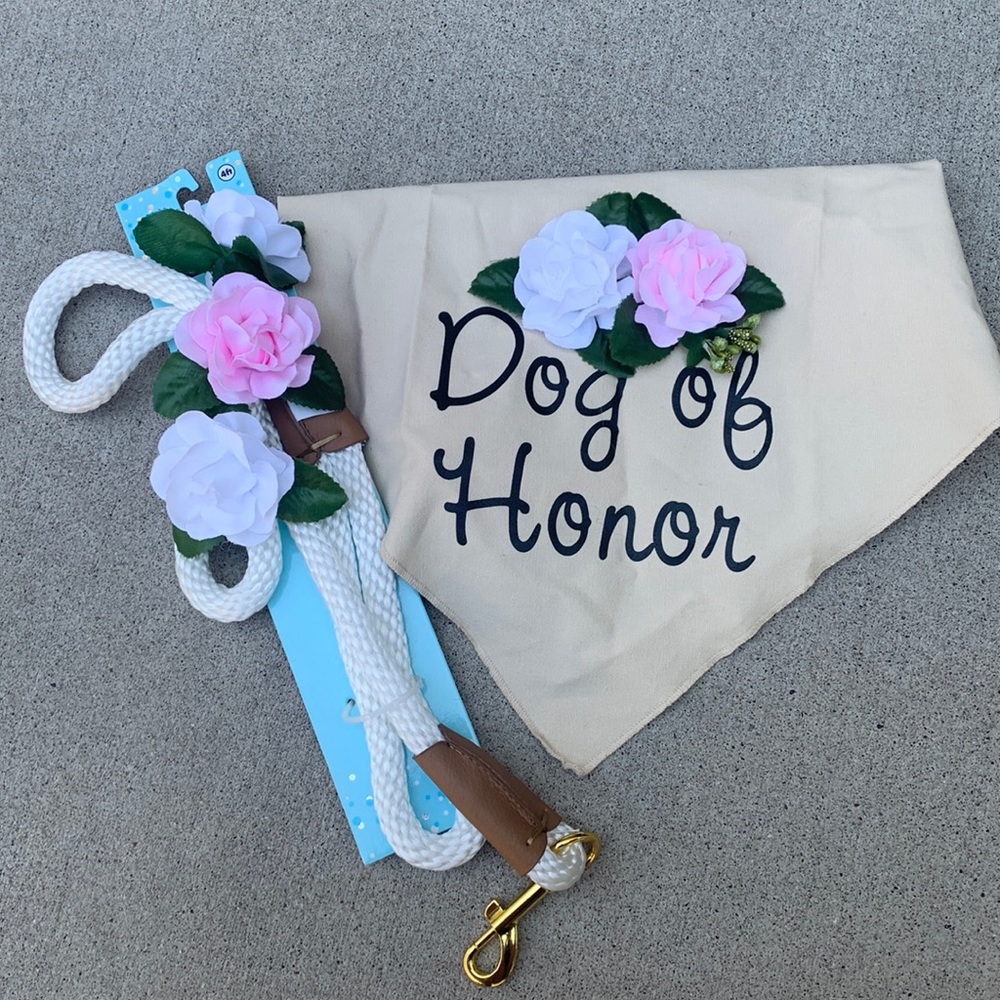 Dog of honor